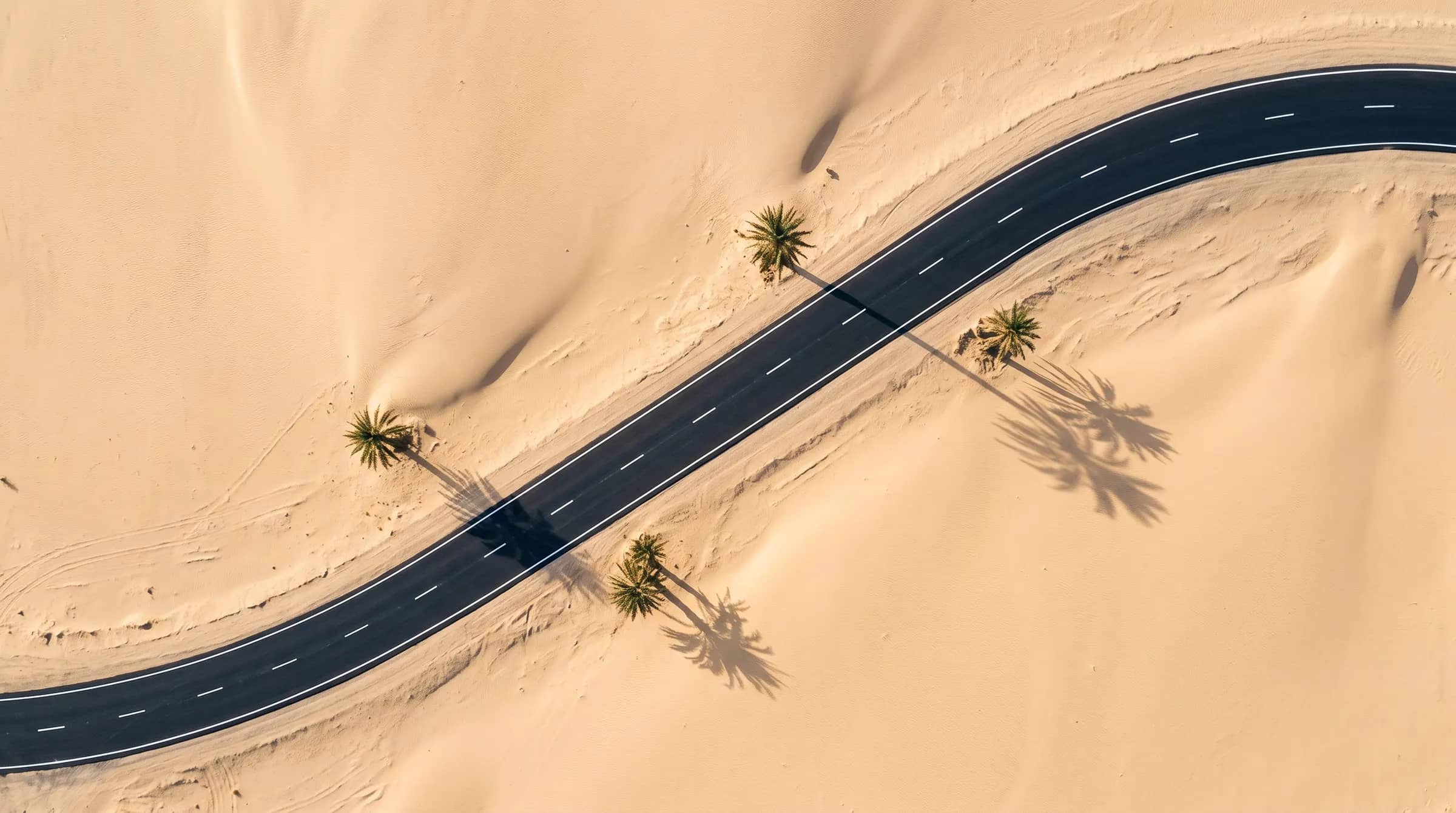 A top-down view of a paved road curving in an S through sand dunes, a few palms casting shadows on the sand